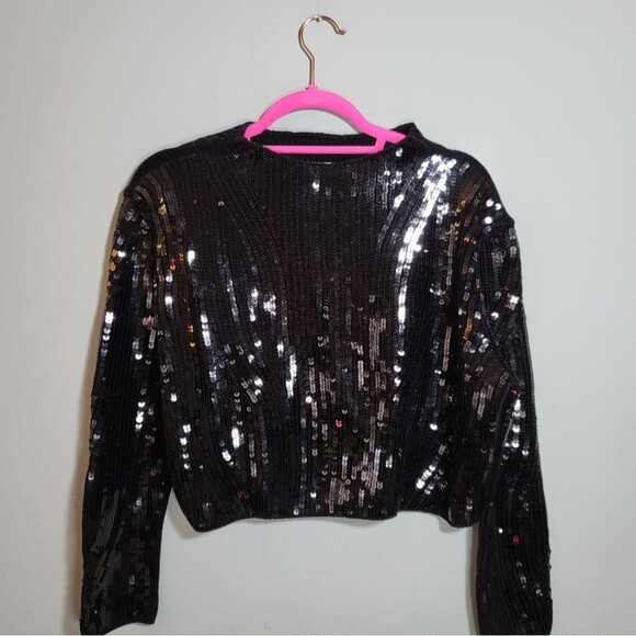 Zara Tops - ZARA NWOT Sequins Black Top | Size M | Cropped | Plush Knit Back | Long Sleeve